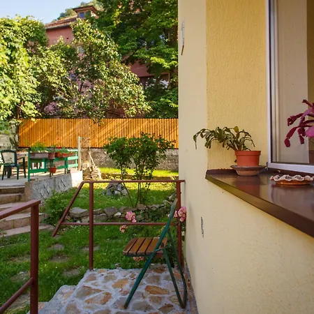 Barok Braşov