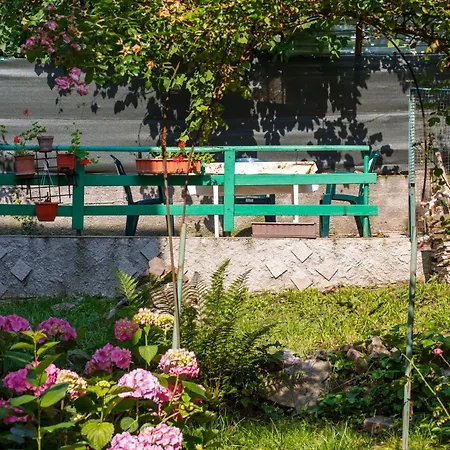 Вилла Barok Брашов