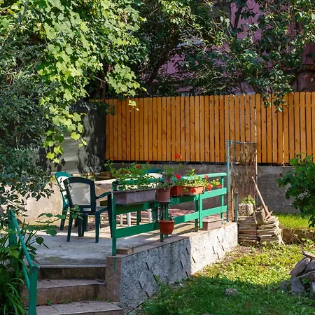 וילה Barok בראשוב