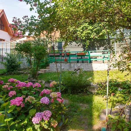 Villa Barok
